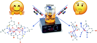 Graphical abstract: σ-Hole halogen bonding interactions in a mixed valence cobalt(iii/ii) complex and anti-electrostatic hydrogen bonding interaction in a cobalt(iii) complex: a theoretical insight