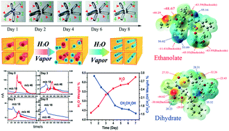 Graphical abstract: Spontaneous single-crystal to single-crystal transition with self-healing cracks involving solvent exchange