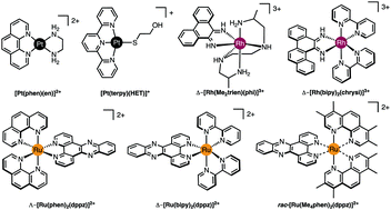 Graphical abstract: Molecular methods for assessment of non-covalent metallodrug–DNA interactions