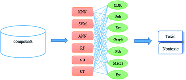 Graphical abstract: In silico estimation of chemical aquatic toxicity on crustaceans using chemical category methods