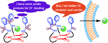 Graphical abstract: Tripodal cyanurates as selective transmembrane Cl− transporters
