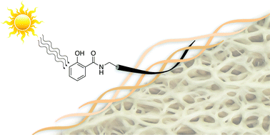 Graphical abstract: A pendant peptide endows a sunscreen with water-resistance