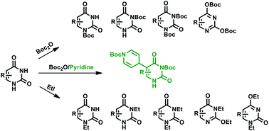 Graphical abstract: A diversity of alkylation/acylation products of uracil and its derivatives: synthesis and a structural study