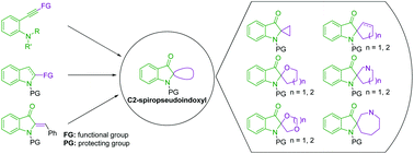 Graphical abstract: Recent advances in the synthesis of C2-spiropseudoindoxyls