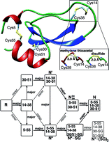 Graphical abstract: BPTI folding revisited: switching a disulfide into methylene thioacetal reveals a previously hidden path