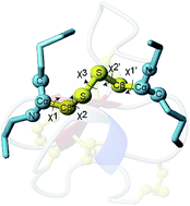 Graphical abstract: Prediction of disulfide dihedral angles using chemical shifts