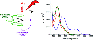 Graphical abstract: New Ru(ii) photocages operative with near-IR light: new platform for drug delivery in the PDT window
