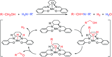 Graphical abstract: Development and mechanistic investigation of the manganese(iii) salen-catalyzed dehydrogenation of alcohols