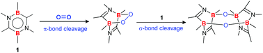 Graphical abstract: Boron-based stepwise dioxygen activation with 1,4,2,5-diazadiborinine