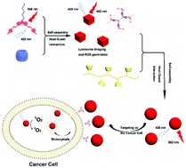 Graphical abstract: A cucurbituril/polysaccharide/carbazole ternary supramolecular assembly for targeted cell imaging