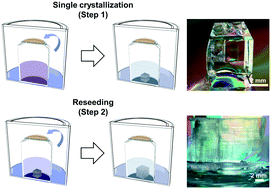 Graphical abstract: Uniform and directional growth of centimeter-sized single crystals of cyclodextrin-based metal organic frameworks