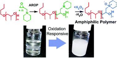 Graphical abstract: Oxidation-responsive polyether block copolymers lead to non-ionic polymer surfactants with multiple amine N-oxides