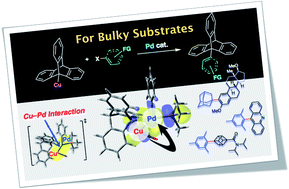 Graphical abstract: Organocopper cross-coupling reaction for C–C bond formation on highly sterically hindered structures