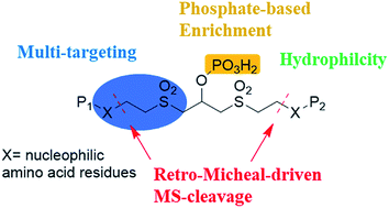 Graphical abstract: A novel mass spectrometry-cleavable, phosphate-based enrichable and multi-targeting protein cross-linker