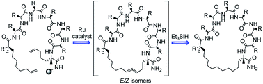 Graphical abstract: Stereoisomerism of stapled peptide inhibitors of the p53-Mdm2 interaction: an assessment of synthetic strategies and activity profiles