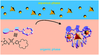 Graphical abstract: Ion-pair induced supramolecular assembly formation for selective extraction and sensing of potassium sulfate