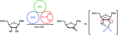 Graphical abstract: Site-selective redox isomerizations of furanosides using a combined arylboronic acid/photoredox catalyst system