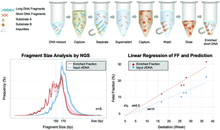 Graphical abstract: High-resolution DNA size enrichment using a magnetic nano-platform and application in non-invasive prenatal testing