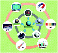 Graphical abstract: New insights into unusual droplets: from mediating the wettability to manipulating the locomotion modes