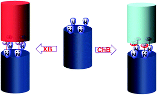 Graphical abstract: Dimeric capsules self-assembled through halogen and chalcogen bonding
