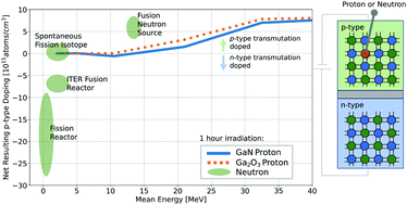 Graphical abstract: Potential for neutron and proton transmutation doping of GaN and Ga2O3
