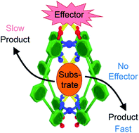 Graphical abstract: Non-covalent allosteric regulation of capsule catalysis