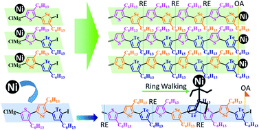 Graphical abstract: Synthesis of side-chain regioregular and main-chain alternating poly(bichalcogenophene)s and an ABC-type periodic poly(terchalcogenophene)