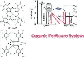 Graphical abstract: Enhanced 1.54 μm luminescence of a perfluorinated erbium complex sensitized by perfluorinated Pt(ii) and Zn(ii) phthalocyanines with 980 nm emission