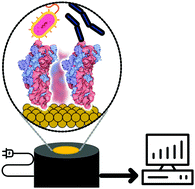 Graphical abstract: N-Heterocyclic carbenes meet toll-like receptors