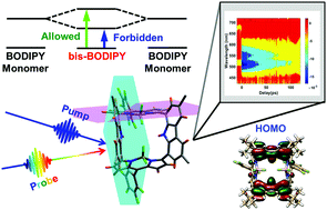 Graphical abstract: Planar hexaphyrin-like macrocycles turning into bis-BODIPYs with box-shaped structures exhibiting excitonic coupling