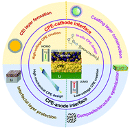 Graphical abstract: Research progress in stable interfacial constructions between composite polymer electrolytes and electrodes