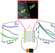Graphical abstract: Frequency stable dielectric constant with reduced dielectric loss of one-dimensional ZnO–ZnS heterostructures