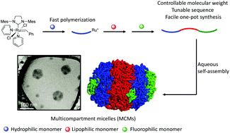 Graphical abstract: One-pot synthesis of linear triblock terpolymers and their aqueous self-assembly