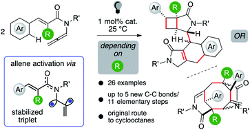 Graphical abstract: Dimerizing cascades of enallenamides reveal the visible-light-promoted activation of cumulated C–C double bonds