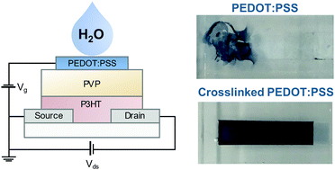 Graphical abstract: Stable crosslinked gate electrodes for hygroscopic insulator OTFT sensors