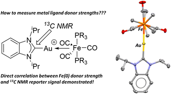 Graphical abstract: Gauging the donor strength of iron(0) complexes via their N-heterocyclic carbene gold(i) adducts