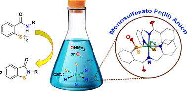 Graphical abstract: Catalytic O2 activation toward oxidative N–S bond formation by a thiolato Fe(iii) complex