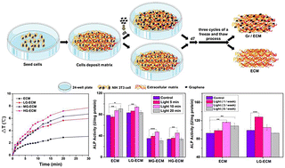 Graphical abstract: Photothermal extracellular matrix based nanocomposite films and their effect on the osteogenic differentiation of BMSCs