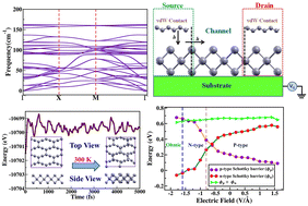 Graphical abstract: First principles study of 2D ring-Te and its electrical contact with a topological Dirac semimetal