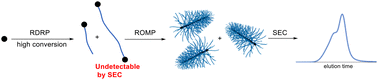 Graphical abstract: Radical–radical coupling effects in the direct-growth grafting-through synthesis of bottlebrush polymers using RAFT and ROMP