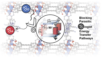 Graphical abstract: Dipole-mediated exciton management strategy enabled by reticular chemistry