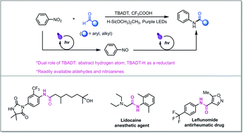 Graphical abstract: Photomediated reductive coupling of nitroarenes with aldehydes for amide synthesis
