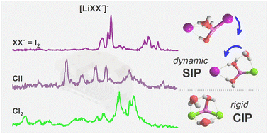 Graphical abstract: Impact of anion polarizability on ion pairing in microhydrated salt clusters