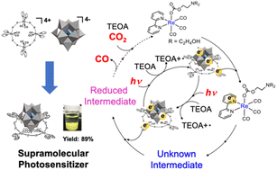 Graphical abstract: Supramolecular multi-electron redox photosensitisers comprising a ring-shaped Re(i) tetranuclear complex and a polyoxometalate