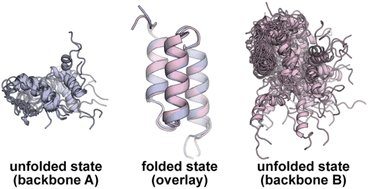 Graphical abstract: Implications of the unfolded state in the folding energetics of heterogeneous-backbone protein mimetics