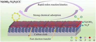 Graphical abstract: Surface reconstruction on Ni2P@CC to form an ultrathin layer of Ni(OH)2 for enhancing the capture and catalytic conversion of polysulfides in lithium–sulfur batteries