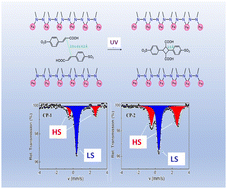 Graphical abstract: Room temperature light induced spin state switching in a FeII coordination polymer featuring a photo responsive anion