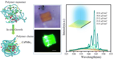 Graphical abstract: Highly stable and controllable lasing actions from PVDF encapsulated CsPbBr3 perovskite microcrystals