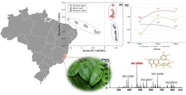 Graphical abstract: ESI(−)FT-ICR MS for the determination of best conditions for producing extract abundant in phenolic compounds from leaves of E. uniflora and FTIR-PCA as a sample screening method