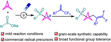 Graphical abstract: Visible light-induced gem-difluoroallylation of [1.1.1]propellane to access gem-difluoroallylic bicyclo[1.1.1]pentanes